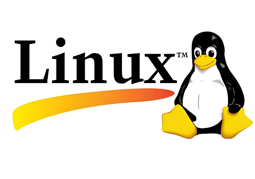 Linux 計算機(jī)硬件開發(fā)的核心本質(zhì)
